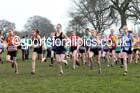 Start of the of the under-13 girls Inter Counties Cross Country, Cofton Park, Birmingham. Photo: David T. Hewitson/Sports for All Pics